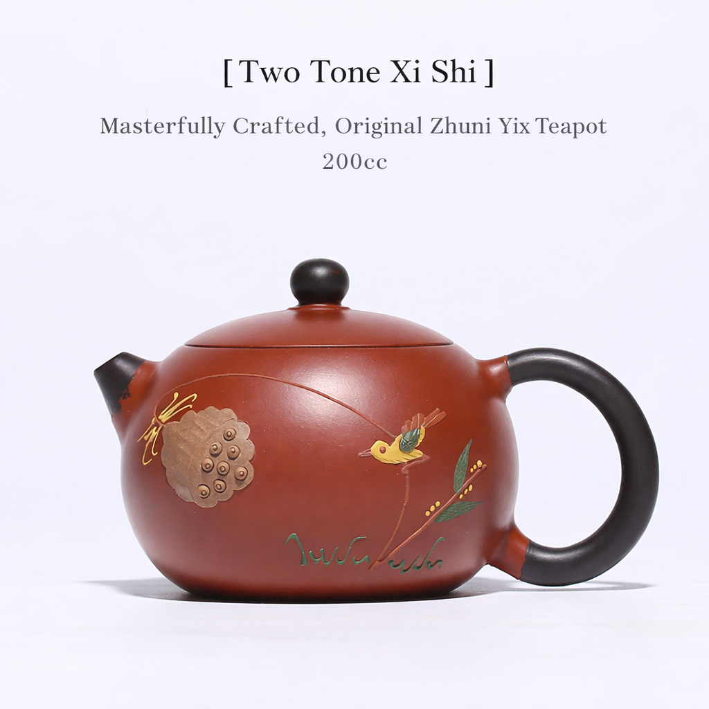 Handmade Yixing Purple Clay Xi Shi Teapot